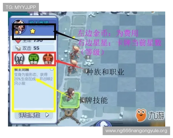 全面解析推牌九扑克的规则与策略帮助新手快速入门