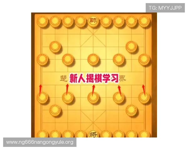 如何玩转三公的玩法：从基础规则到高级技巧全面提升你的游戏水平