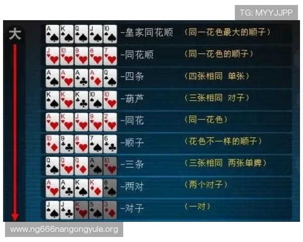 扑克牌3的玩法技巧详解帮助新手快速掌握游戏规则与策略提升获胜几率